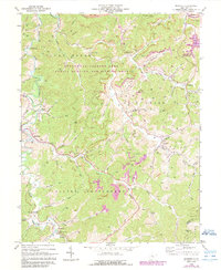 Download a high-resolution, GPS-compatible USGS topo map for Roanoke, WV (1989 edition)