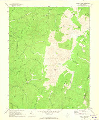 Download a high-resolution, GPS-compatible USGS topo map for Sinks of Gandy, WV (1973 edition)