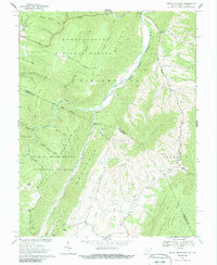 Download a high-resolution, GPS-compatible USGS topo map for Snowy Mountain, WV (1987 edition)