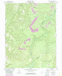 Download a high-resolution, GPS-compatible USGS topo map for Snyder Knob, WV (1989 edition)