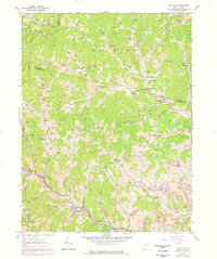 Download a high-resolution, GPS-compatible USGS topo map for Wallace, WV (1978 edition)