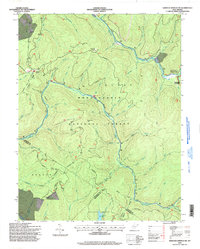 Download a high-resolution, GPS-compatible USGS topo map for Webster Springs SW, WV (1998 edition)