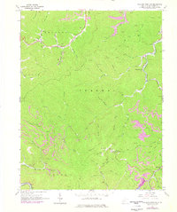 Download a high-resolution, GPS-compatible USGS topo map for Williams Mountain, WV (1977 edition)