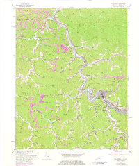 Download a high-resolution, GPS-compatible USGS topo map for Williamson, WV (1978 edition)