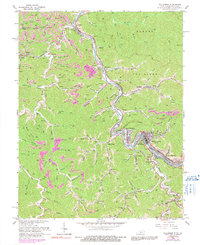 Download a high-resolution, GPS-compatible USGS topo map for Williamson, WV (1991 edition)