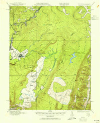 Download a high-resolution, GPS-compatible USGS topo map for Davis, WV (1955 edition)