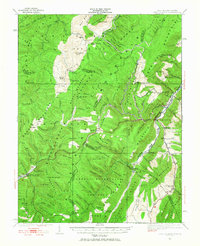 Download a high-resolution, GPS-compatible USGS topo map for Spruce Knob, WV (1965 edition)