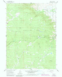 1961 Map of Albany, WY, 1984 Print