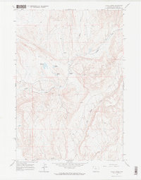Download a high-resolution, GPS-compatible USGS topo map for Alkali Creek, WY (1970 edition)