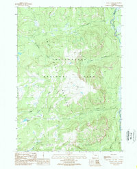 Download a high-resolution, GPS-compatible USGS topo map for Badger Creek, WY (1989 edition)