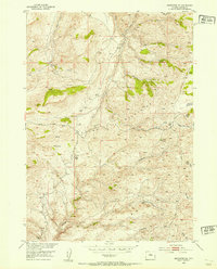 Download a high-resolution, GPS-compatible USGS topo map for Badwater NE, WY (1954 edition)