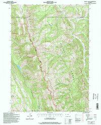 Download a high-resolution, GPS-compatible USGS topo map for Bailey Lake, WY (1998 edition)