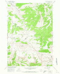 Download a high-resolution, GPS-compatible USGS topo map for Bald Mountain, WY (1973 edition)