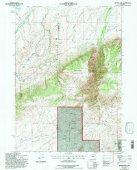 Download a high-resolution, GPS-compatible USGS topo map for Banner Mtn, WY (1996 edition)