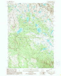 Download a high-resolution, GPS-compatible USGS topo map for Beartooth Butte, WY (1989 edition)