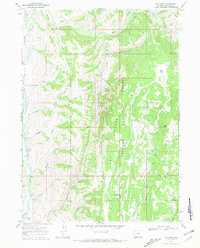 Download a high-resolution, GPS-compatible USGS topo map for Big Park, WY (1970 edition)