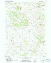 Download a high-resolution, GPS-compatible USGS topo map for Big Trails NE, WY (1991 edition)
