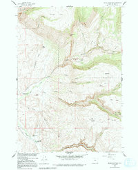 Download a high-resolution, GPS-compatible USGS topo map for Black Mountain, WY (1991 edition)