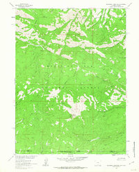 Download a high-resolution, GPS-compatible USGS topo map for Blackhall Mountain, WY (1963 edition)