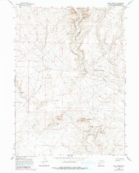 Download a high-resolution, GPS-compatible USGS topo map for Blue Forest, WY (1980 edition)