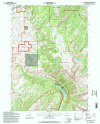 preview thumbnail of historical topo map of Teton County, WY in 1996