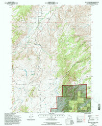 Download a high-resolution, GPS-compatible USGS topo map for Blue Nose Creek, WY (1996 edition)