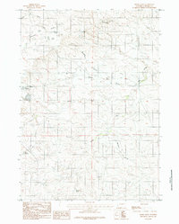 Download a high-resolution, GPS-compatible USGS topo map for Bobby Draw, WY (1984 edition)