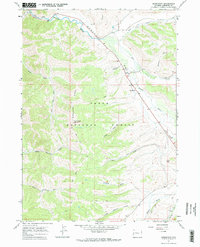 Download a high-resolution, GPS-compatible USGS topo map for Bondurant, WY (1971 edition)