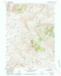 Download a high-resolution, GPS-compatible USGS topo map for Bradley Peak, WY (1982 edition)