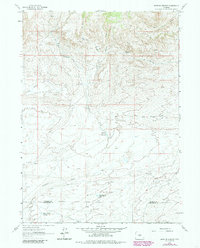 Download a high-resolution, GPS-compatible USGS topo map for Brenton Springs, WY (1985 edition)