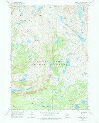 Download a high-resolution, GPS-compatible USGS topo map for Bridger Lakes, WY (1985 edition)