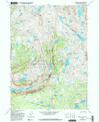 Download a high-resolution, GPS-compatible USGS topo map for Bridger Lakes, WY (1993 edition)