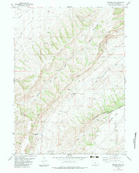 Download a high-resolution, GPS-compatible USGS topo map for Bridger Pass, WY (1983 edition)