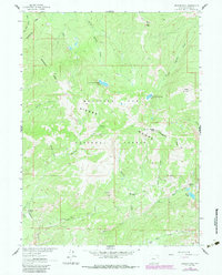 Download a high-resolution, GPS-compatible USGS topo map for Bridger Peak, WY (1988 edition)