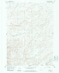 Download a high-resolution, GPS-compatible USGS topo map for Broad Mesa, WY (1987 edition)