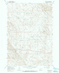 Download a high-resolution, GPS-compatible USGS topo map for Broom Draw, WY (1991 edition)