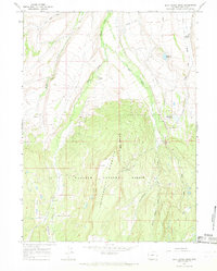 Download a high-resolution, GPS-compatible USGS topo map for Buck Fever Ridge, WY (1968 edition)