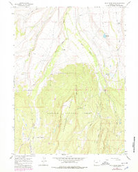 Download a high-resolution, GPS-compatible USGS topo map for Buck Fever Ridge, WY (1979 edition)