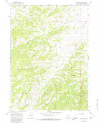 Download a high-resolution, GPS-compatible USGS topo map for Buck Peak, WY (1980 edition)