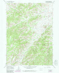 Download a high-resolution, GPS-compatible USGS topo map for Buck Peak, WY (1985 edition)