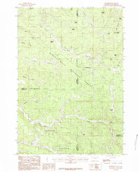 Download a high-resolution, GPS-compatible USGS topo map for Buckhorn, WY (1984 edition)