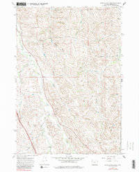 Download a high-resolution, GPS-compatible USGS topo map for Buffalo Run Creek, WY (1982 edition)