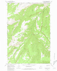 Download a high-resolution, GPS-compatible USGS topo map for Bull Elk Park, WY (1980 edition)