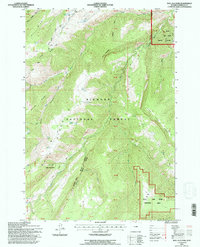 Download a high-resolution, GPS-compatible USGS topo map for Bull Elk Park, WY (1997 edition)