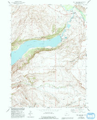 Download a high-resolution, GPS-compatible USGS topo map for Bull Lake East, WY (1993 edition)