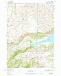 Download a high-resolution, GPS-compatible USGS topo map for Bull Lake West, WY (1977 edition)