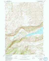 Download a high-resolution, GPS-compatible USGS topo map for Bull Lake West, WY (1993 edition)
