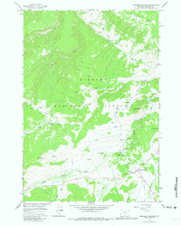 Download a high-resolution, GPS-compatible USGS topo map for Burgess Junction, WY (1981 edition)