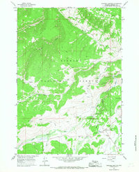 Download a high-resolution, GPS-compatible USGS topo map for Burgess Junction, WY (1967 edition)