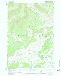 Download a high-resolution, GPS-compatible USGS topo map for Burgess Junction, WY (1984 edition)